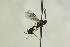  ( - CollHH1229)  @11 [ ] Creative Commons  Attribution Non-Commercial Share-Alike (2018) Hakon Haraldseide Unspecified