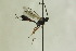  ( - CollHH1242)  @12 [ ] Creative Commons  Attribution Non-Commercial Share-Alike (2018) Hakon Haraldseide Unspecified