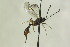  ( - CollHH1328)  @14 [ ] Creative Commons  Attribution Non-Commercial Share-Alike (2018) Hakon Haraldseide Unspecified