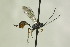  ( - CollHH1329)  @14 [ ] Creative Commons  Attribution Non-Commercial Share-Alike (2018) Hakon Haraldseide Unspecified