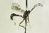  ( - CollHH1332)  @13 [ ] Creative Commons  Attribution Non-Commercial Share-Alike (2018) Hakon Haraldseide Unspecified