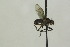  ( - CollHH1412)  @11 [ ] Creative Commons  Attribution Non-Commercial Share-Alike (2018) Hakon Haraldseide Unspecified