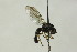  ( - CollHH1433)  @11 [ ] Creative Commons  Attribution Non-Commercial Share-Alike (2018) Hakon Haraldseide Unspecified