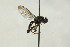  ( - CollHH1434)  @11 [ ] Creative Commons  Attribution Non-Commercial Share-Alike (2018) Hakon Haraldseide Unspecified