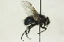  ( - CollHH1442)  @11 [ ] Creative Commons  Attribution Non-Commercial Share-Alike (2018) Hakon Haraldseide Unspecified