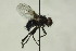  ( - CollHH1443)  @11 [ ] Creative Commons  Attribution Non-Commercial Share-Alike (2018) Hakon Haraldseide Unspecified
