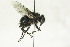  ( - CollHH1444)  @11 [ ] Creative Commons  Attribution Non-Commercial Share-Alike (2018) Hakon Haraldseide Unspecified
