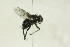  ( - CollHH1445)  @11 [ ] Creative Commons  Attribution Non-Commercial Share-Alike (2018) Hakon Haraldseide Unspecified