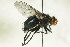  ( - CollHH1448)  @12 [ ] Creative Commons  Attribution Non-Commercial Share-Alike (2018) Hakon Haraldseide Unspecified