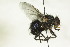  ( - CollHH1458)  @11 [ ] Creative Commons  Attribution Non-Commercial Share-Alike (2018) Hakon Haraldseide Unspecified
