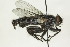  ( - CollHH1468)  @11 [ ] Creative Commons  Attribution Non-Commercial Share-Alike (2018) Hakon Haraldseide Unspecified