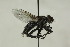  ( - CollHH1469)  @11 [ ] Creative Commons  Attribution Non-Commercial Share-Alike (2018) Hakon Haraldseide Unspecified