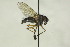  ( - CollHH1492)  @11 [ ] Creative Commons  Attribution Non-Commercial Share-Alike (2018) Hakon Haraldseide Unspecified