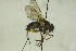  ( - CollHH1493)  @11 [ ] Creative Commons  Attribution Non-Commercial Share-Alike (2018) Hakon Haraldseide Unspecified