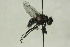  ( - CollHH1506)  @11 [ ] Creative Commons  Attribution Non-Commercial Share-Alike (2018) Hakon Haraldseide Unspecified