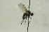  ( - CollHH1528)  @11 [ ] Creative Commons  Attribution Non-Commercial Share-Alike (2018) Hakon Haraldseide Unspecified