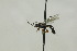  ( - CollHH1543)  @11 [ ] Creative Commons  Attribution Non-Commercial Share-Alike (2018) Hakon Haraldseide Unspecified