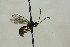  ( - CollHH1566)  @13 [ ] Creative Commons  Attribution Non-Commercial Share-Alike (2018) Hakon Haraldseide Unspecified