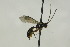  ( - CollHH1567)  @13 [ ] Creative Commons  Attribution Non-Commercial Share-Alike (2018) Hakon Haraldseide Unspecified