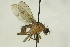  ( - CollHH1581)  @11 [ ] Creative Commons  Attribution Non-Commercial Share-Alike (2018) Hakon Haraldseide Unspecified