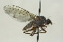  ( - CollHH1589)  @13 [ ] Creative Commons  Attribution Non-Commercial Share-Alike (2018) Hakon Haraldseide Unspecified