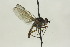  ( - CollHH1591)  @11 [ ] Creative Commons  Attribution Non-Commercial Share-Alike (2018) Hakon Haraldseide Unspecified