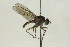  ( - CollHH1592)  @11 [ ] Creative Commons  Attribution Non-Commercial Share-Alike (2018) Hakon Haraldseide Unspecified