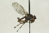  ( - CollHH1596)  @13 [ ] Creative Commons  Attribution Non-Commercial Share-Alike (2018) Hakon Haraldseide Unspecified