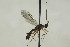  ( - CollHH1600)  @12 [ ] Creative Commons  Attribution Non-Commercial Share-Alike (2018) Hakon Haraldseide Unspecified