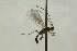  ( - CollHH1602)  @12 [ ] Creative Commons  Attribution Non-Commercial Share-Alike (2018) Hakon Haraldseide Unspecified