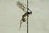  ( - CollHH1609)  @12 [ ] Creative Commons  Attribution Non-Commercial Share-Alike (2018) Hakon Haraldseide Unspecified