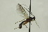  ( - CollHH1610)  @12 [ ] Creative Commons  Attribution Non-Commercial Share-Alike (2018) Hakon Haraldseide Unspecified
