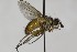  ( - CollHH1634)  @11 [ ] Creative Commons  Attribution Non-Commercial Share-Alike (2018) Hakon Haraldseide Unspecified