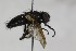 ( - CollHH1636)  @11 [ ] Creative Commons  Attribution Non-Commercial Share-Alike (2018) Hakon Haraldseide Unspecified