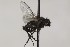  ( - CollHH1646)  @13 [ ] Creative Commons  Attribution Non-Commercial Share-Alike (2018) Hakon Haraldseide Unspecified