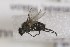  ( - CollHH1647)  @13 [ ] Creative Commons  Attribution Non-Commercial Share-Alike (2018) Hakon Haraldseide Unspecified