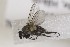  ( - CollHH1648)  @11 [ ] Creative Commons  Attribution Non-Commercial Share-Alike (2018) Hakon Haraldseide Unspecified