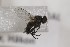  ( - CollHH1651)  @13 [ ] Creative Commons  Attribution Non-Commercial Share-Alike (2018) Hakon Haraldseide Unspecified