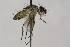  ( - CollHH1668)  @11 [ ] Creative Commons  Attribution Non-Commercial Share-Alike (2018) Hakon Haraldseide Unspecified