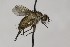  ( - CollHH1669)  @13 [ ] Creative Commons  Attribution Non-Commercial Share-Alike (2018) Hakon Haraldseide Unspecified