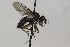  ( - CollHH1670)  @13 [ ] Creative Commons  Attribution Non-Commercial Share-Alike (2018) Hakon Haraldseide Unspecified