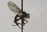  ( - CollHH1672)  @13 [ ] Creative Commons  Attribution Non-Commercial Share-Alike (2018) Hakon Haraldseide Unspecified