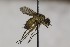  ( - CollHH1673)  @12 [ ] Creative Commons  Attribution Non-Commercial Share-Alike (2018) Hakon Haraldseide Unspecified