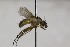  ( - CollHH1674)  @12 [ ] Creative Commons  Attribution Non-Commercial Share-Alike (2018) Hakon Haraldseide Unspecified