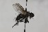  ( - CollHH1678)  @11 [ ] Creative Commons  Attribution Non-Commercial Share-Alike (2018) Hakon Haraldseide Unspecified