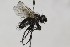  ( - CollHH1679)  @11 [ ] Creative Commons  Attribution Non-Commercial Share-Alike (2018) Hakon Haraldseide Unspecified
