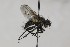  ( - CollHH1680)  @11 [ ] Creative Commons  Attribution Non-Commercial Share-Alike (2018) Hakon Haraldseide Unspecified