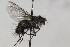  ( - CollHH1681)  @11 [ ] Creative Commons  Attribution Non-Commercial Share-Alike (2018) Hakon Haraldseide Unspecified
