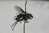  ( - CollHH1689)  @11 [ ] Creative Commons  Attribution Non-Commercial Share-Alike (2018) Hakon Haraldseide Unspecified