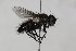  ( - CollHH1699)  @11 [ ] Creative Commons  Attribution Non-Commercial Share-Alike (2018) Hakon Haraldseide Unspecified